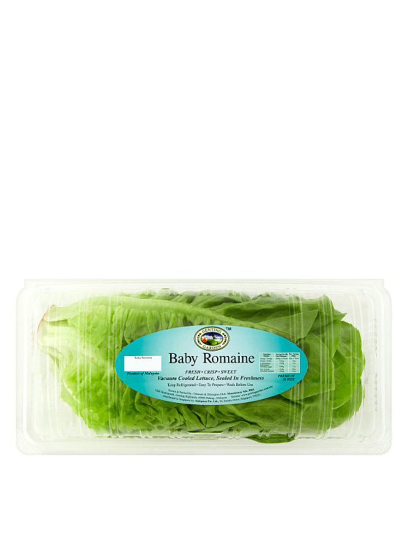 GG BABY ROMAINE LETTUCE PKT