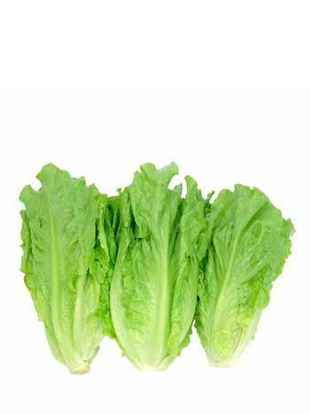 YAU MAK THAM +/-400G