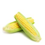 CAMERON BI COLOR SWEET CORN PC